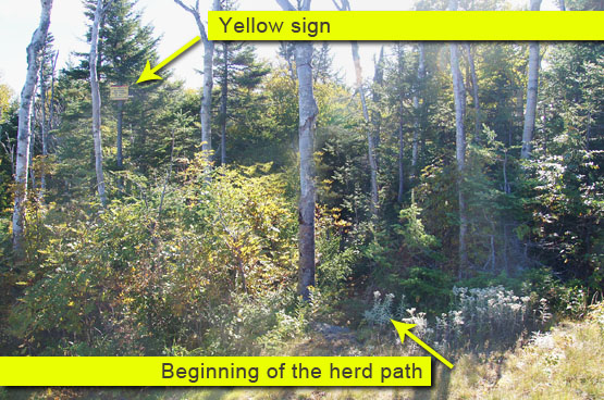 yellow sign herd path scar ridge loon mountain